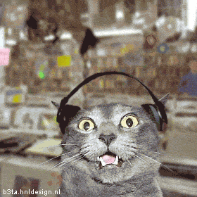 Cat listening to Techno