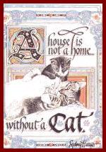 Home without cats