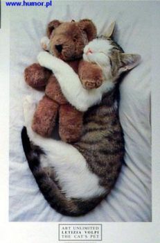 I can´t sleep without my Teddy